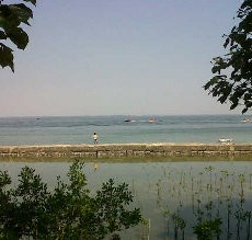 Jakarta Banjir, Pulau Untung Jawa Terima Kiriman Sampah Kasur & Kursi