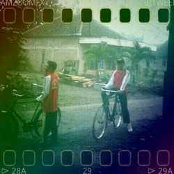 sogol dengan kumbangnya