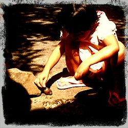 Persiapan Pengobatan Luka dng Bekicot