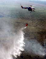 Cuaca Panas Picu Kebakaran Hutan Lindung di Simalungun 