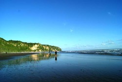 Duh! Banyak Ubur-ubur Serang Wisatawan di Parangtritis