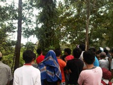 Takut Dikeroyok, Pencuri TV Nangkring di Pohon 9 Jam!