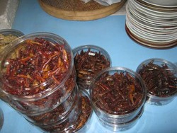 Kriuk! Renyahnya Belalang Goreng Khas Gunungkidul