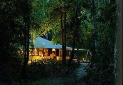Bulan Madu Romantis di Tengah Hutan Pulau Moyo