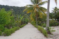 Yuk! Mengenal Cantiknya Desa-desa Wisata di Raja Ampat