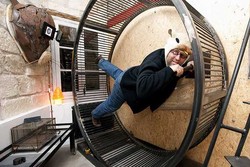 Di Hotel Ini Anda Bisa Jadi Hamster!