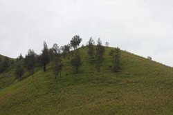 Wuih! Ada Bukit Teletubbies di Gunung Bromo