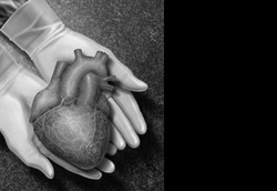 Dokter Australia Sukses Ganti Katup Jantung Tanpa Operasi