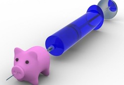 Bio Farma Menjawab Ketakutan akan Vaksin dari Babi