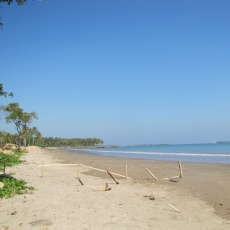 Siap-siap Lari Seru di Run Rhino Run 10K