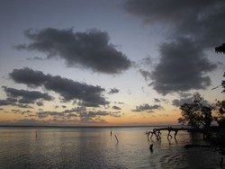 Ujung Kulon, Rengkuh Aku Dalam Peluk Senjamu