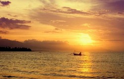 Honeymoon Romatis di Bali? Datang ke 3 Tempat Ini