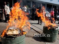 Senpi dan Ganja dari Ratusan Kasus Dimusnahkan