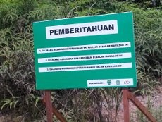 Nasib Tahura Bukit Soeharto di Kaltim, Ditambang Hingga Dilalui Tol