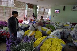 Mau Tahu Aslinya Jakarta, Datang ke 4 Kampung Betawi Ini!