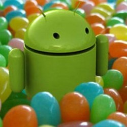 Android 4.1 Itu Bernama Jelly Bean?