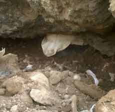 Terjebak di Timbunan Sampah PT SG, Nyamat Tewas Tengkurap