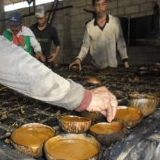 Mengolah Nira Menjadi Rupiah