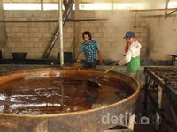 Mengolah Nira Menjadi Rupiah