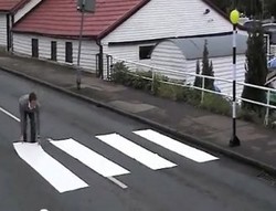 Ini Dia Zebra Cross yang Bisa Dibawa Kemana-mana