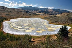 Lucu! Ada Danau Polkadot di Kanada