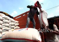 Juni, Pengadaan Beras Terealisasi 693.685 Ton