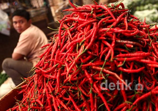 Harga Cabai Merangkak Naik Jelang Puasa