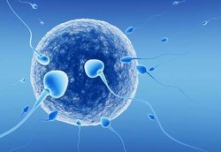 Ingin Istri Hamil? Hindari 10 Pembunuh Sperma Ini