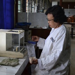 Sulap Kulit Kakao Jadi Pakan Ternak, Sri Suhermiyati Sabet Guru Besar