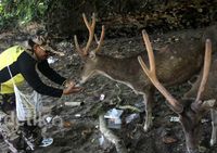 Menikmati Liburan di TWA Pangandaran