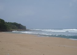 Menjamah Pantai Paling Perawan di Ujung Kulon