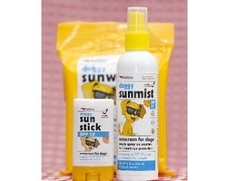 Wow, Kini Ada Tabir Surya Khusus Anjing Peliharaan