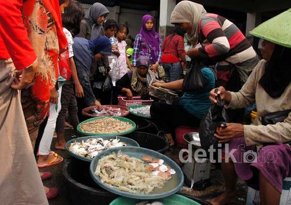 Belanja Ikan di Lamongan Sembari Wisata