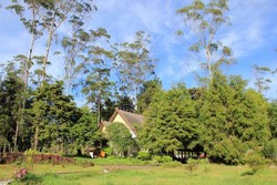 5 Tempat Terbaik Back to Nature
