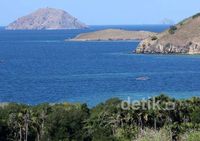 Mengunjungi Pulau Komodo