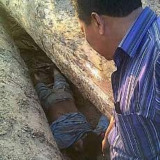 Tertimpa Kayu Log, Buruh Bongkar Muat Pelabuhan Kehilangan Nyawa