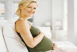 Minggu ke-15 Masa Kandungan