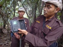 Jepret! Ini Dia Tukang Foto Badak Jawa di Ujung Kulon