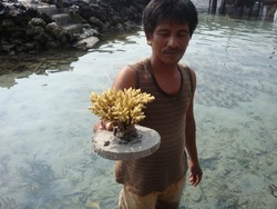 Lebih Mencintai Alam dengan Wisata Budi Daya Terumbu Karang