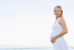 Minggu ke-23 Masa Kandungan