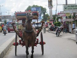 Naik Bendi Keliling Bukittinggi, Seru!