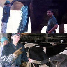 7 Pekerjaan yang Tak Pernah Anda Bayangkan!