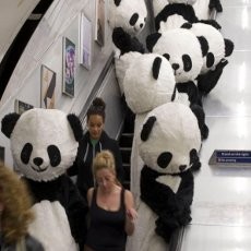 Panda Jadi-jadian Berkeliaran di London