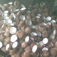 Eropa Krisis, Batok Kelapa Made In Indonesia Laris di Eropa