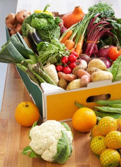 Ingin Menjaga Makanan Tetap Segar? Ini Dia Rahasianya!