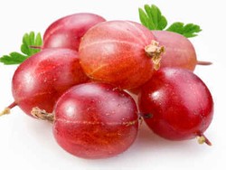 Ingin Awet Muda? Makan Saja Gooseberry