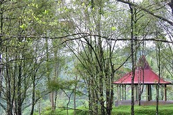 Baturaden, Sejuknya Kawasan Wisata di Kaki Gunung Slamet