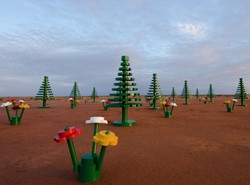 Wow! Hutan LEGO Tumbuh di Australia