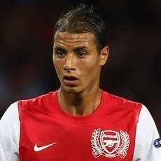 Chamakh Didekati Fiorentina