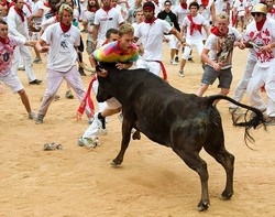6 Banteng Kejar Ribuan Turis dalam Festival di Spanyol